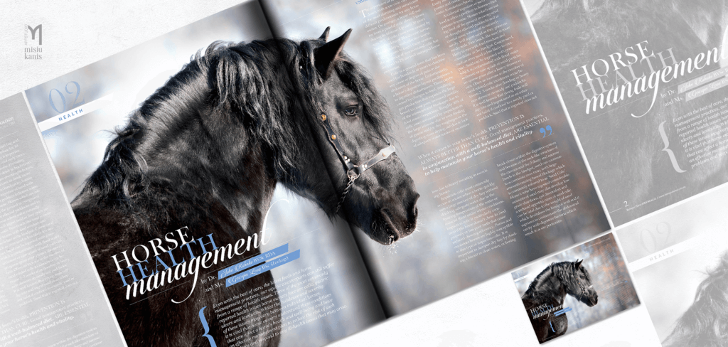 Baroque horse magazine - rozkładówka tytułowa artykułu