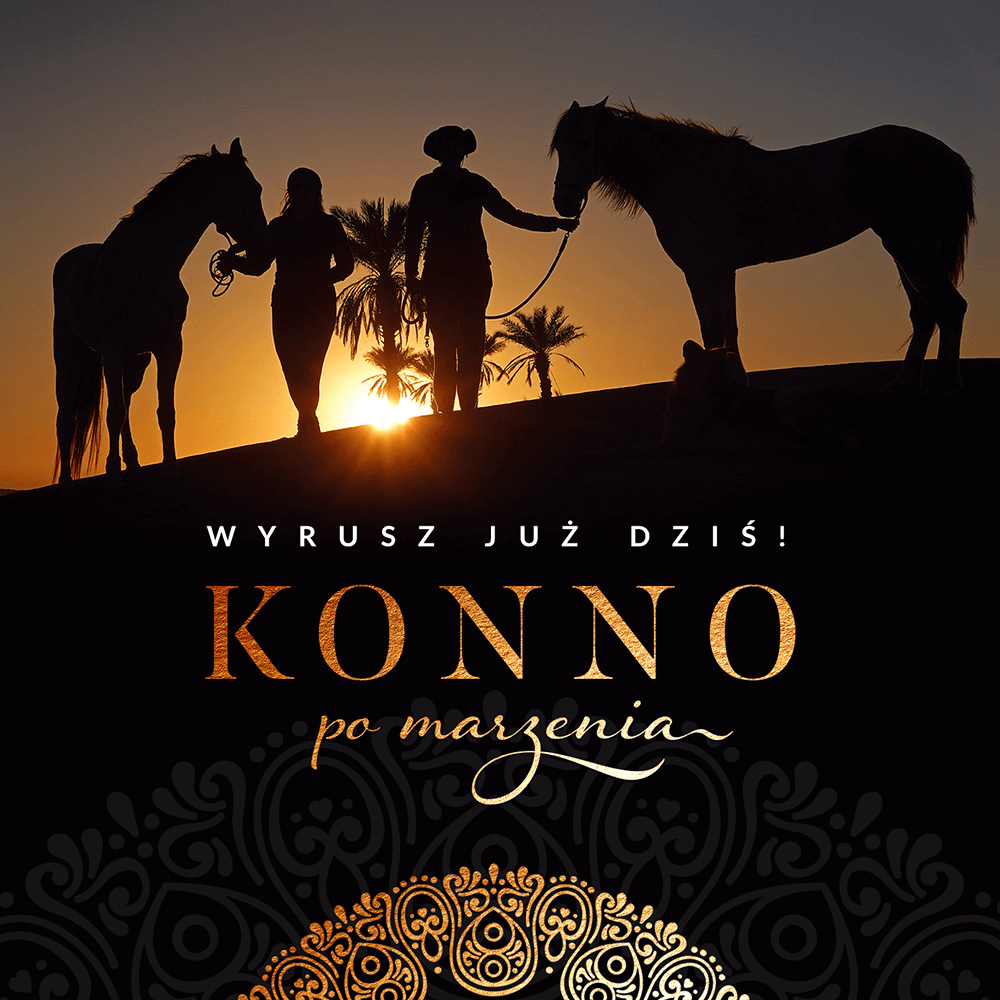 Konno po marzenia - post na Facebook, Instagram