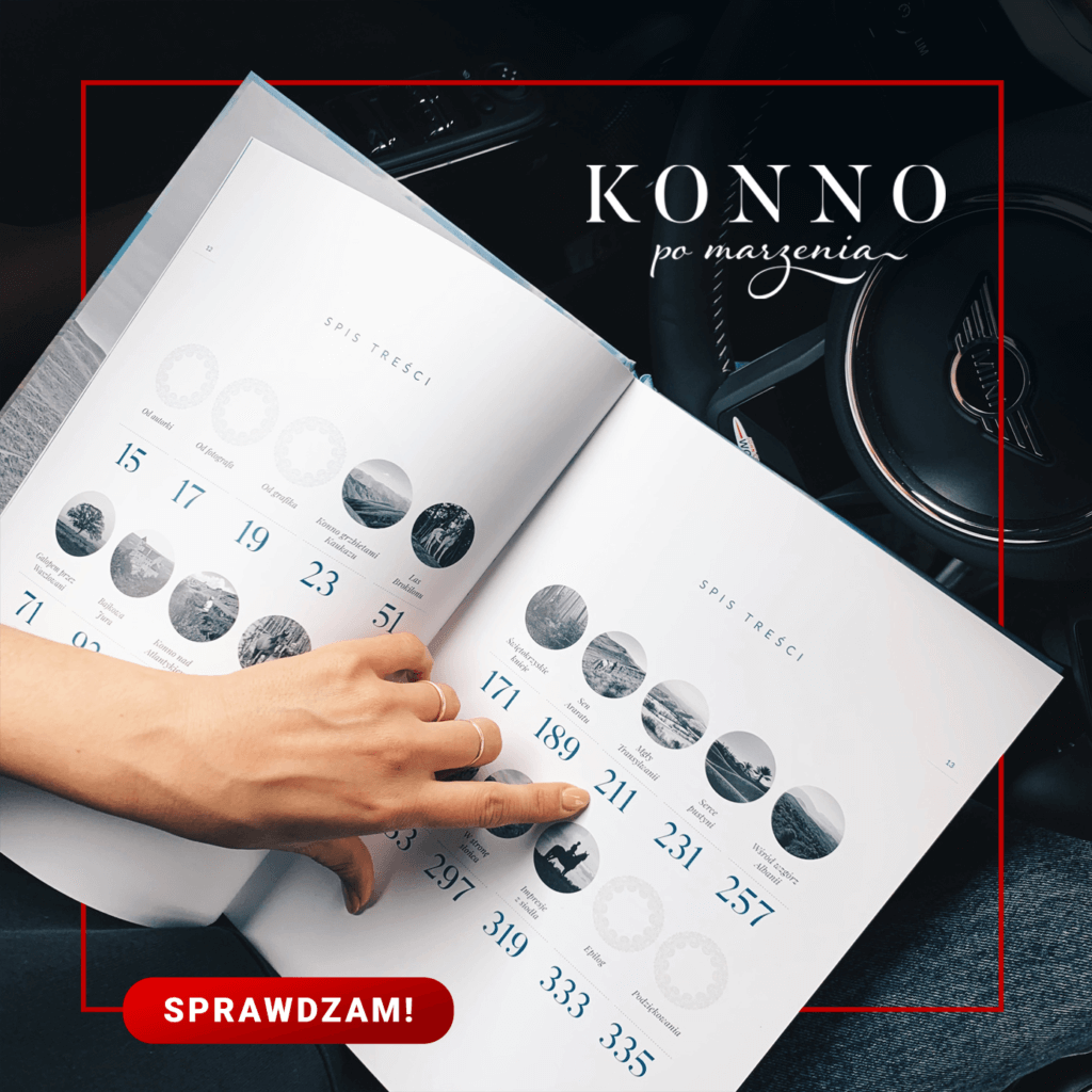 Konno po marzenia - post na Facebook, Instagram