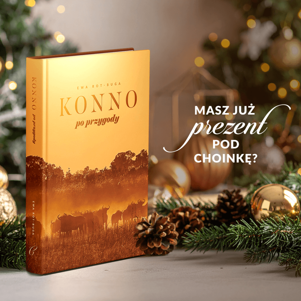 Konno po przygody - post na Facebook, Instagram