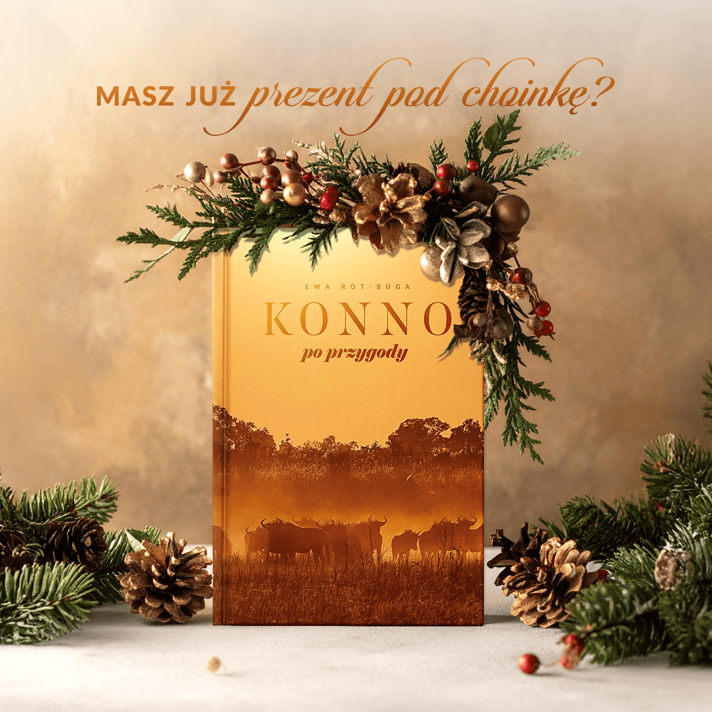 Konno po przygody - post na Facebook, Instagram