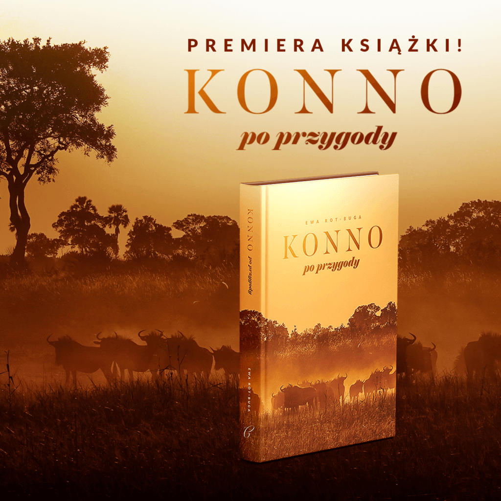 Konno po przygody - post na Facebook, Instagram