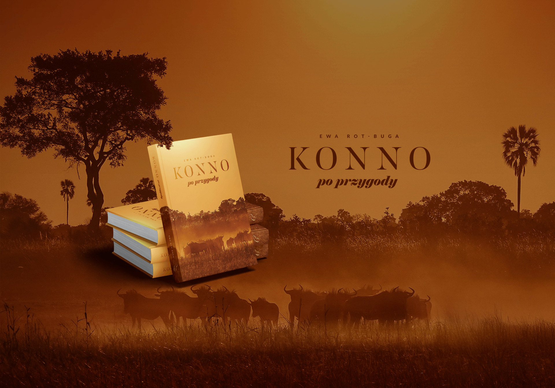 Konno po przygody - slajder